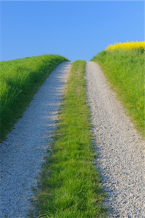 road less travelled - Gravel Road through Fields Stock Photo - Premium Royalty-Free, Code: 600-02756631