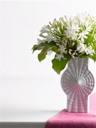 Lily of the Nile in Vase Foto de stock - Sin royalties Premium, Código: 600-02756833