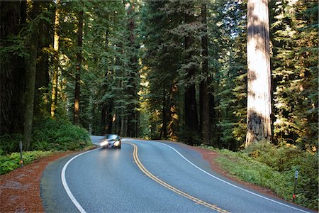 Route 199 à travers parc d'état Jedediah Smith, nord de la Californie, California, USA Photographie de stock - Premium Libres de Droits, Code: 600-02756991