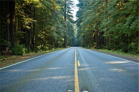 pavement lines - Highway 199 Through Jedediah Smith State Park, Northern California,  California, USA Stock Photo - Premium Royalty-Free, Code: 600-02756992