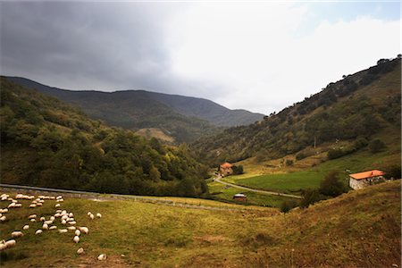 sheep on hill - Basque Countryside, Spain Foto de stock - Sin royalties Premium, Código: 600-02834049