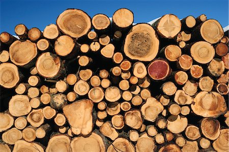 Stacked Logs Stock Photo - Premium Royalty-Free, Code: 600-02833536