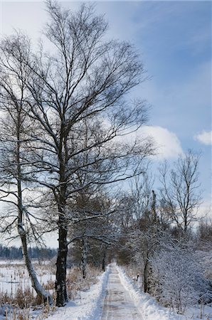 simsearch:600-05837471,k - Path in Winter in Schwenninger Moos, Baden-Wurttemberg, Germany Foto de stock - Sin royalties Premium, Código: 600-02833541