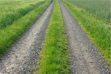 Close-up of Pathway Foto de stock - Sin royalties Premium, Código: 600-02860245