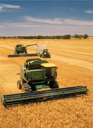 Wheat Harvesting Stock Photo - Premium Royalty-Free, Code: 600-02885993