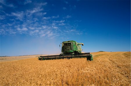 farming in prairies - Wheat Harvesting, Australia Stock Photo - Premium Royalty-Free, Code: 600-02886015