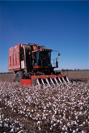 farm harvesting equipment - Cotton Harvesting, Australia Stock Photo - Premium Royalty-Free, Code: 600-02886011