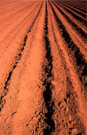 furrow rows - Ploughed Field, Close-up Stock Photo - Premium Royalty-Free, Code: 600-02886151