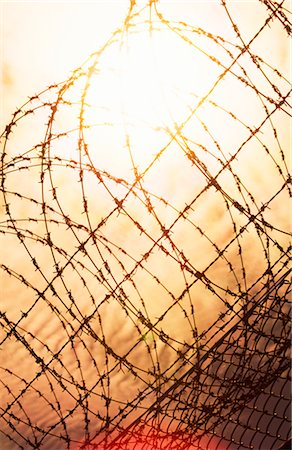 safety background images - Barbed Wire Fence, Sunset Foto de stock - Sin royalties Premium, Código: 600-02886164