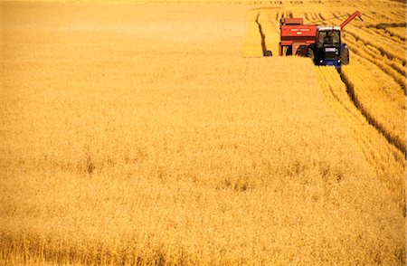 farm harvesting equipment - Oats Harvesting, Australia Stock Photo - Premium Royalty-Free, Code: 600-02886266