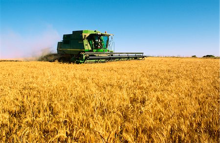 Wheat Harvesting, Australia Stock Photo - Premium Royalty-Free, Code: 600-02886267
