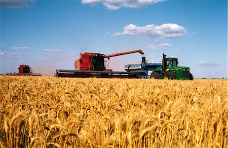 farm harvesting equipment - Wheat Harvesting, Australia Stock Photo - Premium Royalty-Free, Code: 600-02886268