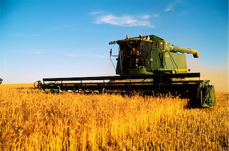 Wheat Harvesting, Australia Foto de stock - Sin royalties Premium, Código: 600-02886272