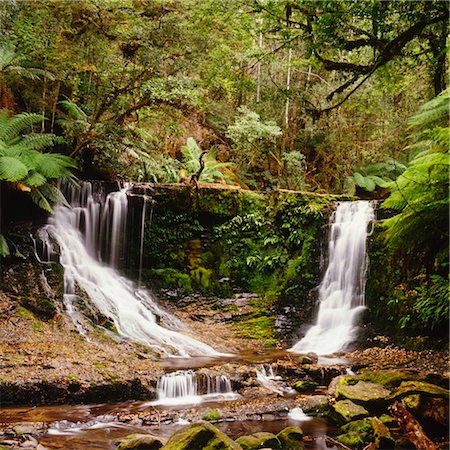 Horseshoe Falls, Mount Field National Park, Tasmania, Australia Foto de stock - Sin royalties Premium, Código: 600-02886350