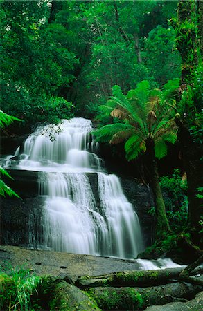 Triplett Falls, forêt pluviale tempérée, Otway National Park, Victoria, Australie Photographie de stock - Premium Libres de Droits, Code: 600-02886396