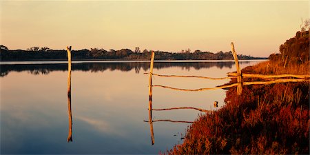 fence post - Rotamah Island, Lakes National Park, Gippsland Lakes, Victoria, Australia Stock Photo - Premium Royalty-Free, Code: 600-02886449