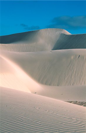 simsearch:600-02886439,k - Dunes de sable, Australie Photographie de stock - Premium Libres de Droits, Code: 600-02886455