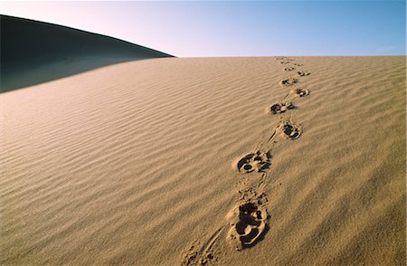 desert ripples scenes - Footsteps on Sand Dune, Desert Stock Photo - Premium Royalty-Free, Code: 600-02886469