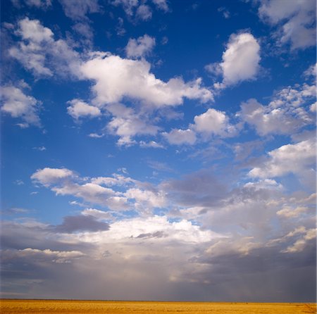 farming in prairies - Plains and Storm in the Distance Stock Photo - Premium Royalty-Free, Code: 600-02886539