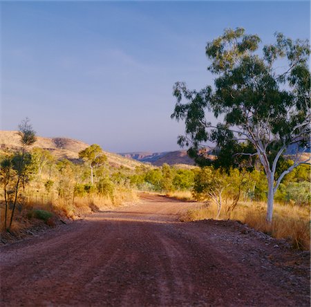 eucalypt tree - Country Road, Australian Outback, Australia Foto de stock - Sin royalties Premium, Código: 600-02886533