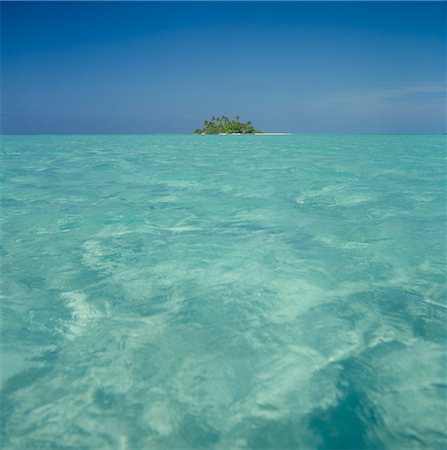 Tropical Island, Maldives Photographie de stock - Premium Libres de Droits, Code: 600-02886544