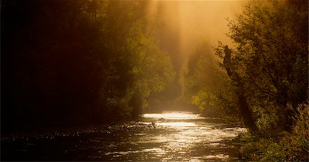 Dargo River at Sunset, Australia Stock Photo - Premium Royalty-Free, Code: 600-02886547