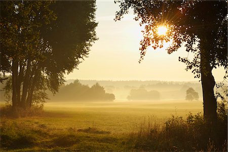 Lever du soleil sur le terrain en automne, Odenwald, Hesse, Allemagne Photographie de stock - Premium Libres de Droits, Code: 600-02887073