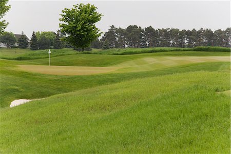 place en premier plan - Vue d'ensemble du parcours de Golf Photographie de stock - Premium Libres de Droits, Code: 600-02883110