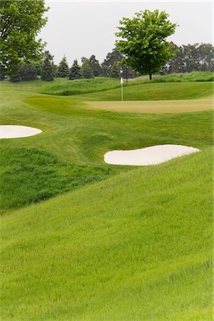 simsearch:600-02886036,k - Overview of Golf Course Stock Photo - Premium Royalty-Free, Code: 600-02883111