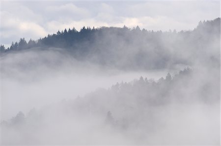 fog the - Hill with Forest Standing out of Fog, Black Forest, Baden-Wurttemberg, Germany Stock Photo - Premium Royalty-Free, Code: 600-02883229