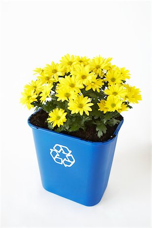 Flowers Planted in Recycling Bin Foto de stock - Sin royalties Premium, Código: 600-02883246