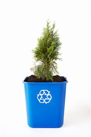 Tree Planted in Recycling Bin Foto de stock - Sin royalties Premium, Código: 600-02883249