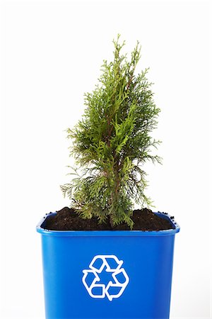 Arbre planté dans le bac de recyclage Photographie de stock - Premium Libres de Droits, Code: 600-02883250