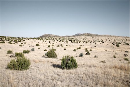 sparse - Marfa, Presidio County, West Texas, Texas, USA Stock Photo - Premium Royalty-Free, Code: 600-02912063