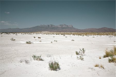 salt flats - Salt Basin in Salt Flat, Texas, USA Stock Photo - Premium Royalty-Free, Code: 600-02912076