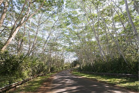 Road, Kauai, Hawaii, USA Stockbilder - Premium RF Lizenzfrei, Bildnummer: 600-02912129