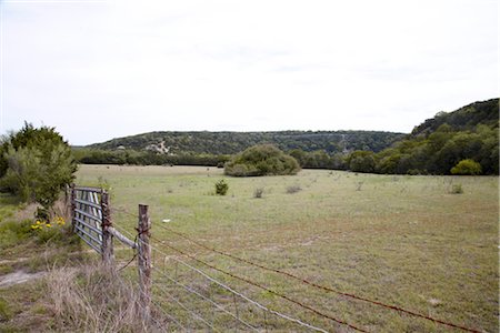 farm fence gate - Barbed Wire Fence in Field Stock Photo - Premium Royalty-Free, Code: 600-02912279