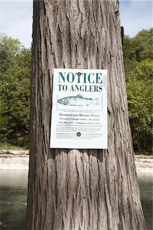 Fishing Notice Posted on Tree Foto de stock - Royalty Free Premium, Número: 600-02912271