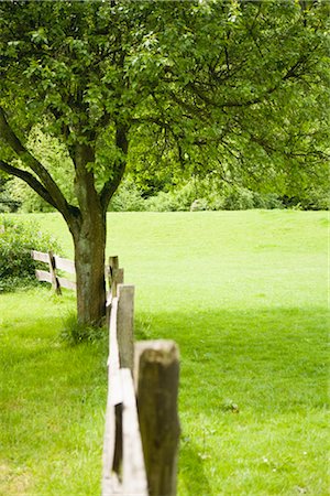 Clôture et des arbres dans un champ, Eslohe, Haut-Sauerland, Rhénanie du Nord-Westphalie, Allemagne Photographie de stock - Premium Libres de Droits, Code: 600-02912342