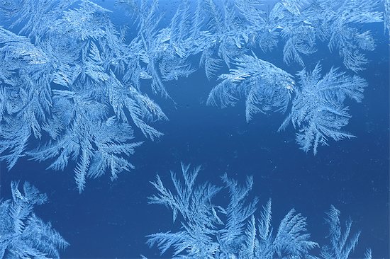 Close-up of Frost Photographie de stock - Premium Libres de Droits, Artiste: Raimund Linke, Le code de l’image : 600-02912692