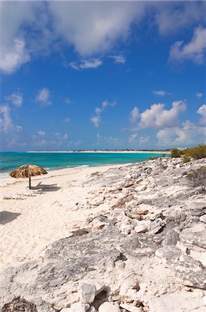 simsearch:841-03677165,k - Cayo Largo, Cuba Photographie de stock - Premium Libres de Droits, Code: 600-02943320