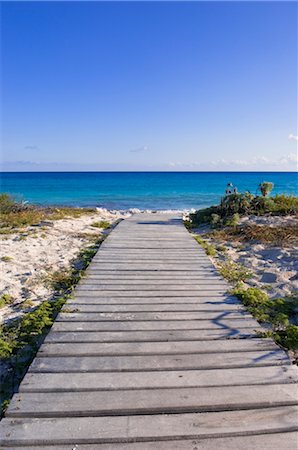 fuga - Beach at Hotel Sol Cayo Largo, Cayo Largo, Cuba Foto de stock - Sin royalties Premium, Código: 600-02943337