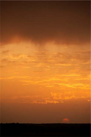 désert du thar - Coucher du soleil, le désert du Thar, Rajasthan, Inde Photographie de stock - Premium Libres de Droits, Code: 600-02957982