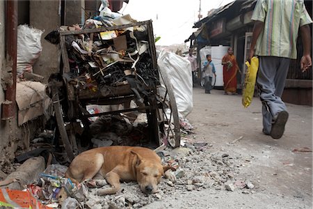 Dog Sleeping on the Street, Calcutta, West Bengal, India Foto de stock - Sin royalties Premium, Código: 600-03004140