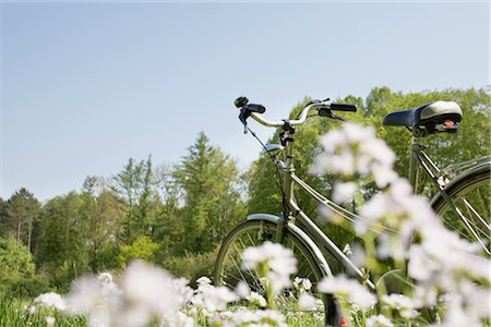 Bike in Meadow, Hamburg, Germany Stock Photo - Premium Royalty-Free, Code: 600-03003526