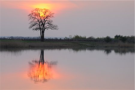 Lake Neusiedl, Burgenland, Austria Foto de stock - Sin royalties Premium, Código: 600-03017031