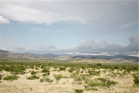 Landscape, Texas, USA Stock Photo - Premium Royalty-Free, Code: 600-03017352