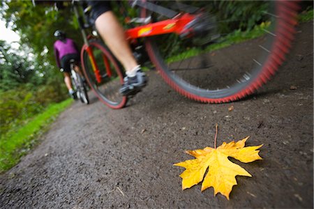 Leaf on Bike Path with Cyclists, Seattle, Washington, USA Foto de stock - Sin royalties Premium, Código: 600-03017962