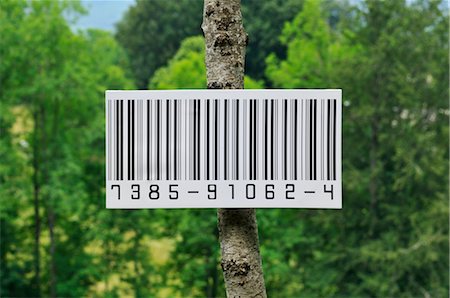 Code à barres sur l'arbre Photographie de stock - Premium Libres de Droits, Code: 600-03054005
