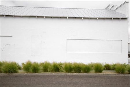 road side grass - Marfa, Presidio County, Texas, USA Stock Photo - Premium Royalty-Free, Code: 600-03069078